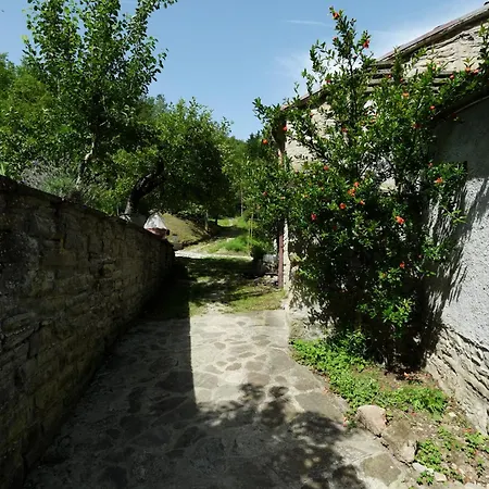 Mulino Di Culmolle Bauernhof Raggio