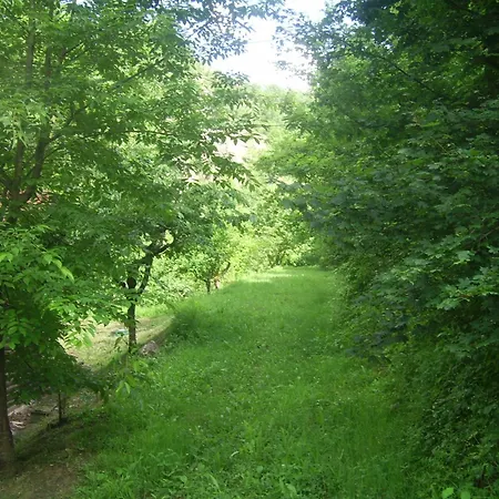 Mulino Di Culmolle * Raggio