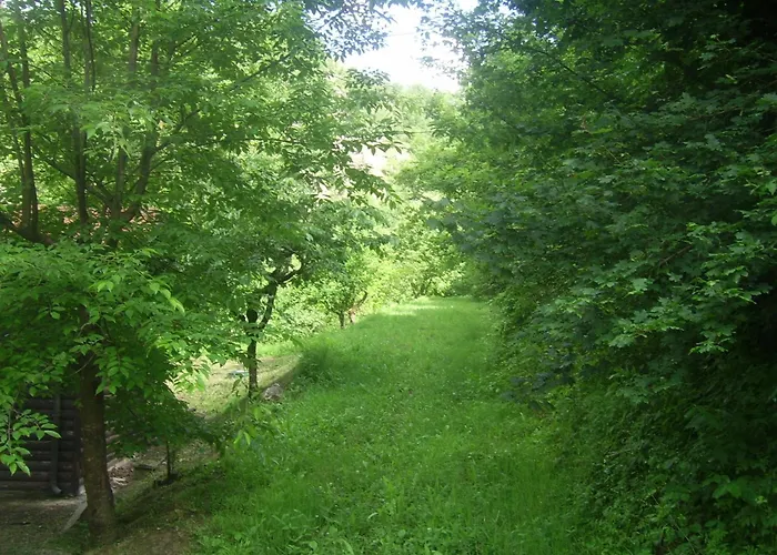 Mulino Di Culmolle * Raggio